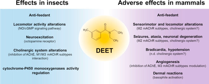 Deet Risks The Dangers of DEET Insect Repellents | NoBites™ News blog